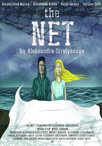 Movie poster for The Net