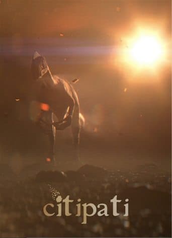 Movie poster for Citipati