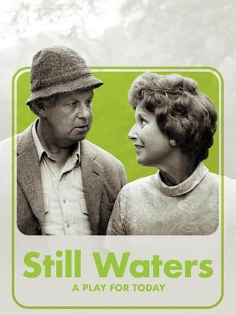 Movie poster for Still Waters