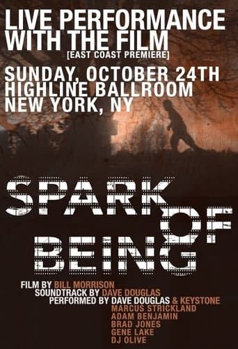 Movie poster for Spark of Being