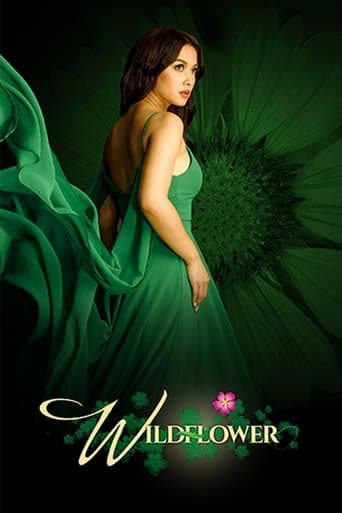 Movie poster for Wildflower