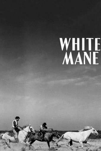 Movie poster for White Mane