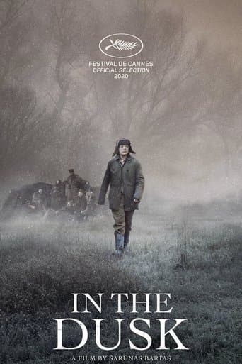 Movie poster for In the Dusk