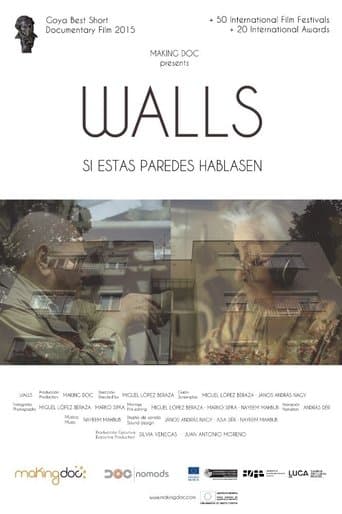 Movie poster for Walls