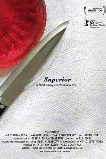Movie poster for Superior