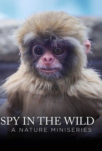 Movie poster for Spy in the Wild