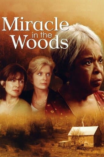 Movie poster for Miracle in the Woods