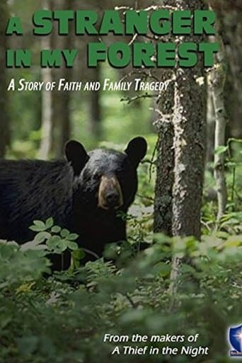 Movie poster for A Stranger in My Forest