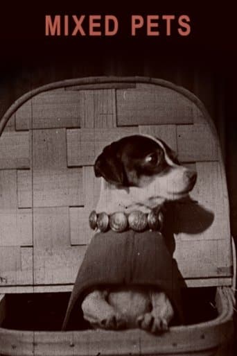 Movie poster for Mixed Pets