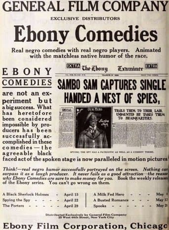 Movie poster for Spying the Spy