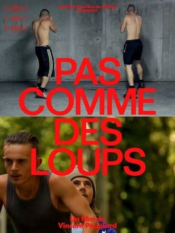 Movie poster for Boys in Wolves' Clothing