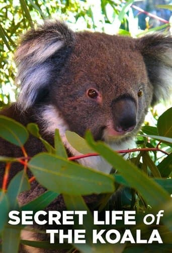 Movie poster for Secret Life of the Koala