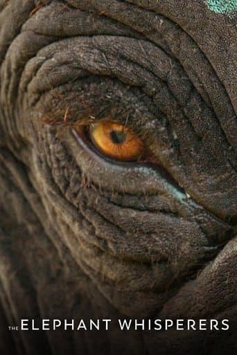 Movie poster for The Elephant Whisperers