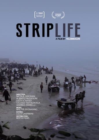 Movie poster for Striplife