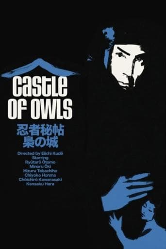 Movie poster for Castle of Owls