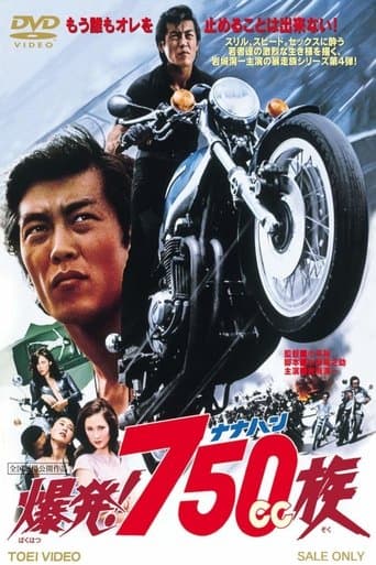 Movie poster for Hell Riders