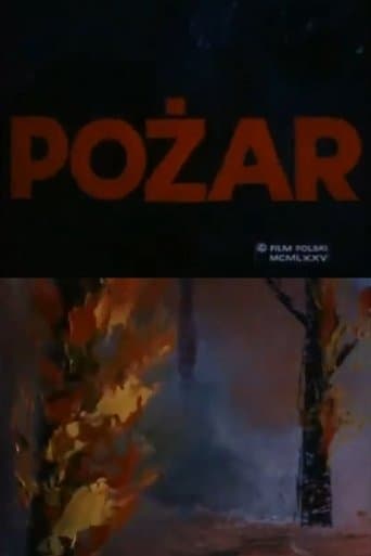 Movie poster for Fire