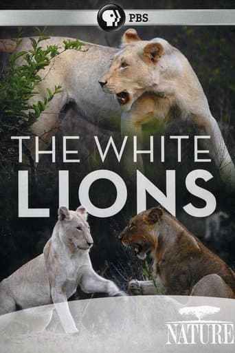 Movie poster for The White Lions