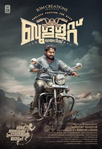 Movie poster for Bullet Diaries