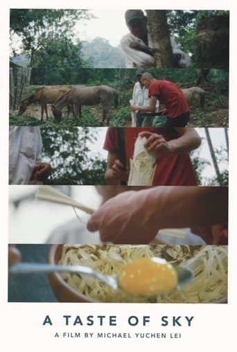Movie poster for A Taste of Sky