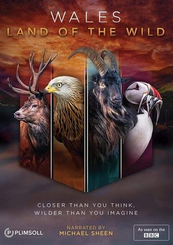Movie poster for Wales: Land of the Wild