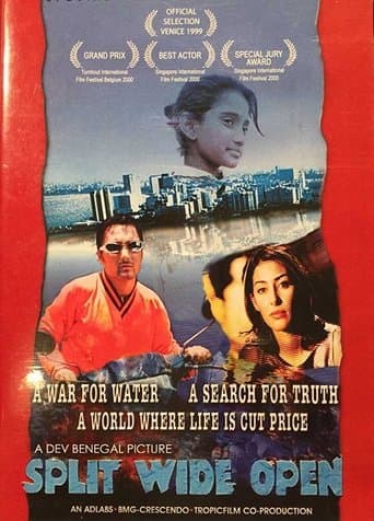 Movie poster for Split Wide Open