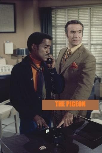 Movie poster for The Pigeon