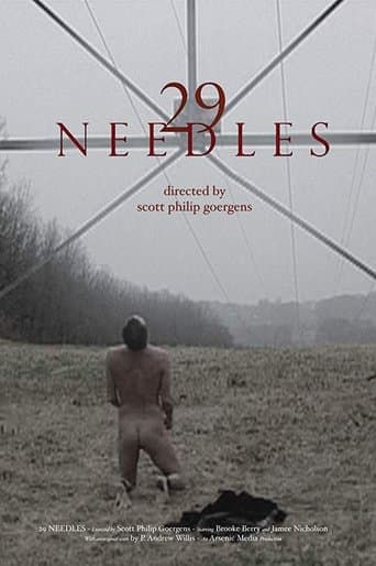 Movie poster for 29 Needles