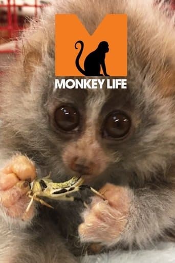 Movie poster for Monkey Life