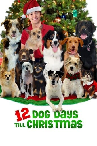 Movie poster for 12 Dog Days Till Christmas