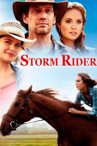 Movie poster for Storm Rider