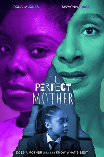 Movie poster for The Perfect Mother