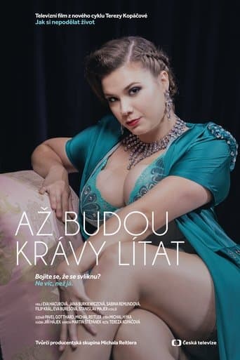 Movie poster for Jak si nepodělat život