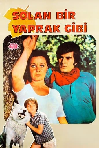 Movie poster for Solan Bir Yaprak Gibi