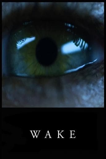Movie poster for Wake