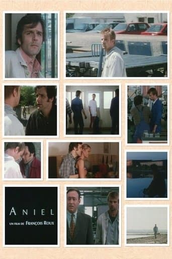 Movie poster for Aniel