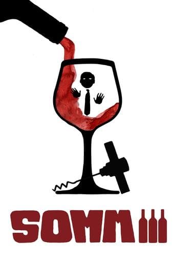 Movie poster for Somm III
