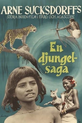 Movie poster for The Flute and the Arrow