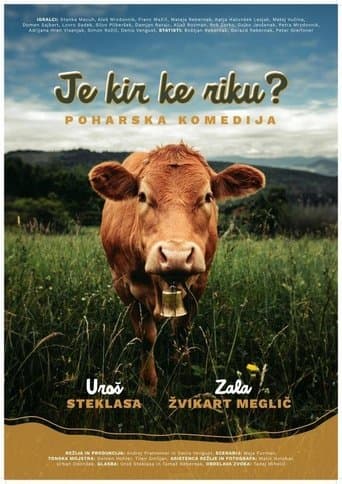 Movie poster for Je kir ke riku? Poharska komedija