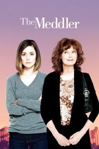 Movie poster for The Meddler