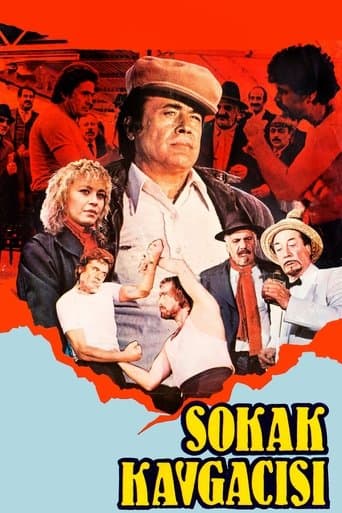Movie poster for Sokak Kavgacısı