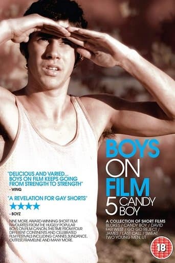 Movie poster for Boys On Film 5: Candy Boy
