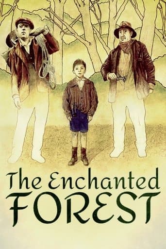 Movie poster for The Enchanted Forest