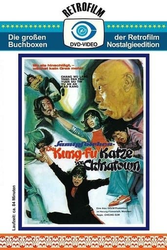 Movie poster for Kung Fu Master Named Drunk Cat