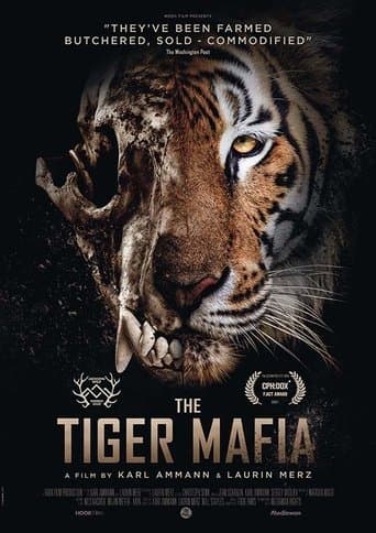 Movie poster for The Tiger Mafia