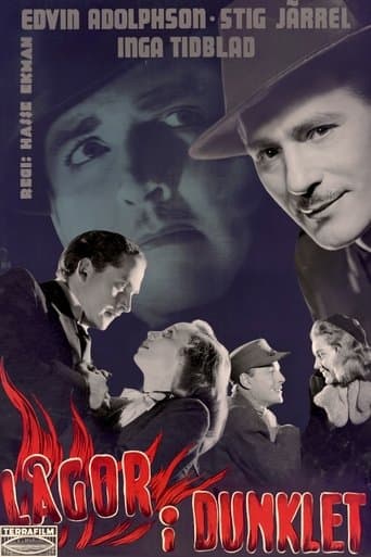 Movie poster for Flames in the Dark