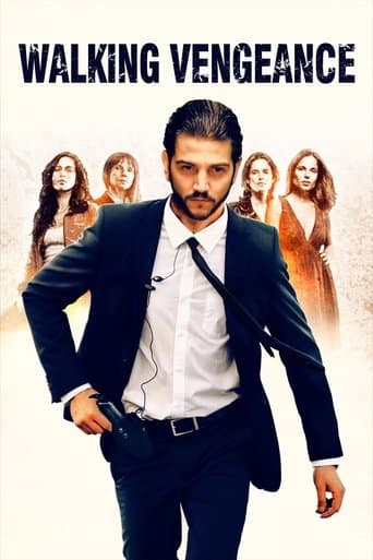 Movie poster for Walking Vengeance