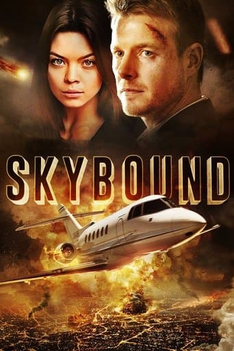 Movie poster for Skybound