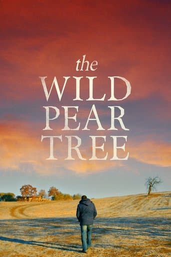 Movie poster for The Wild Pear Tree