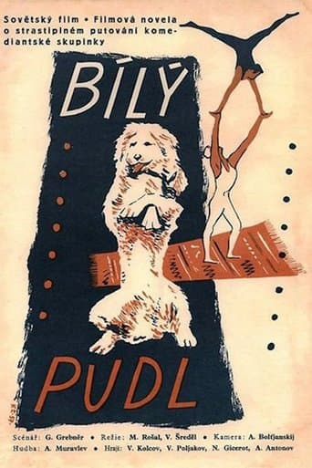Movie poster for The White Poodle
